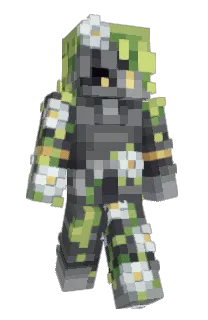 Front of wiredframe's skin