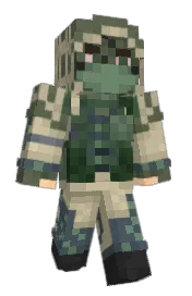 Skin preview
