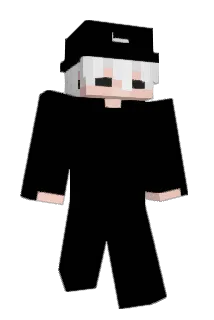 aect Minecraft avatar full body
