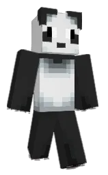 rookiec4sh_'s Minecraft skin wearing the Founder's cape