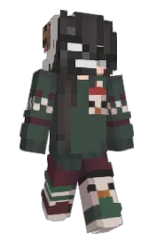 Skin preview