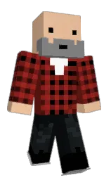evenisafisa's Minecraft skin wearing the Migrator cape