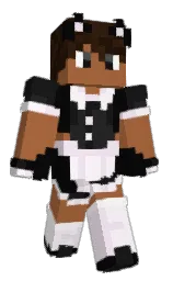 Aniche's Minecraft skin wearing the Migrator cape