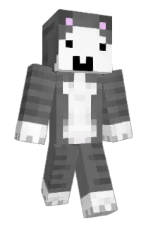 aelingray Minecraft avatar full body