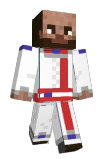 aerofx2 Minecraft avatar full body