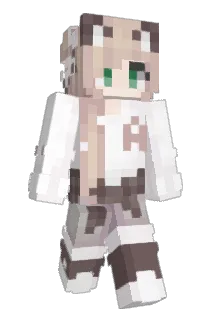 aesenka Minecraft avatar full body