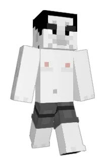 aetju Minecraft avatar full body