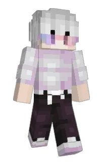 Paulinho1307's Minecraft skin