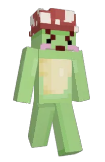 Front of Minecraft skin