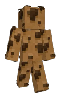 Front of Cidcid's skin