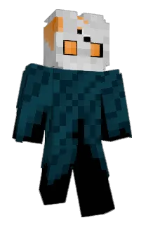 SakkaiRiff's Minecraft skin