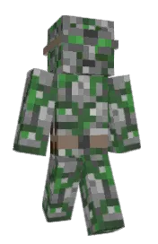 Skin preview