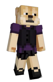 Front of Minecraft skin