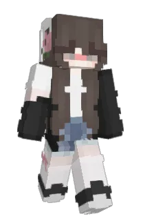 Front of Appernova's skin