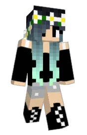 Skin preview