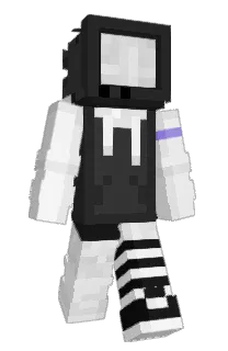 CritZitGaming's Minecraft skin
