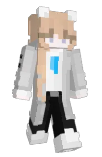 Front of ACErobotbear's skin