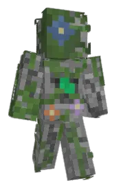Skin preview