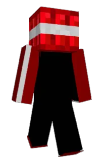 Front of two_gun_volley's skin