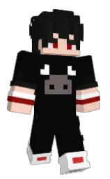 Minecraft skin — Classic model