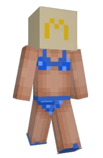 FakeLea's Minecraft skin