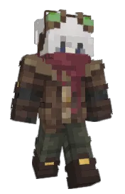 Skin preview
