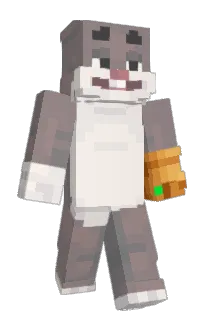 Front of yzzu's skin