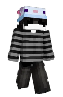 Front of Synkhs's skin
