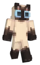 Classic Minecraft skin