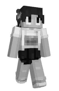 Front of ideac's skin