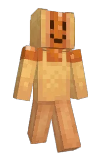 Front of piefry's skin