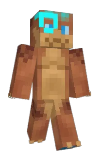 Front of Archenarie's skin