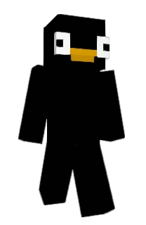 Front of Dalltie's skin