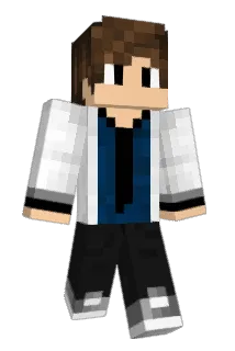 afds3225 Minecraft avatar full body