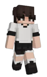 Slim Minecraft skin