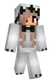 Front of bb's skin