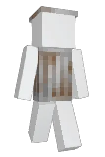 affald Minecraft avatar full body