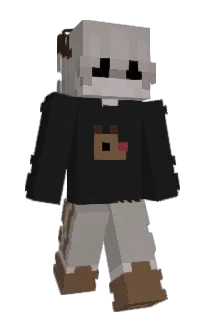 Front of ASTRO_rr's skin