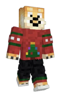 afte123 Minecraft avatar full body