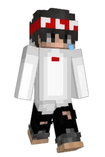 agfdx Minecraft avatar full body
