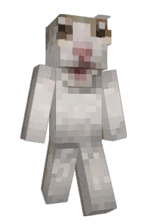 aglio_ Minecraft avatar full body