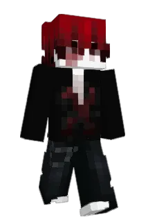 agnstin Minecraft avatar full body