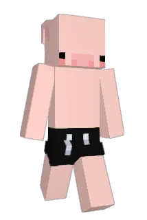 ahn6219 Minecraft avatar full body