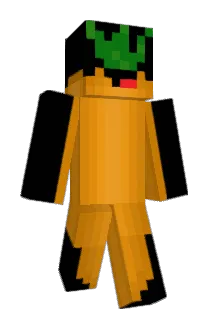 aidanandalex Minecraft avatar full body