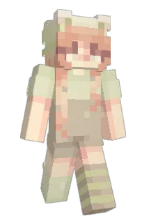 aidanisfit Minecraft avatar full body