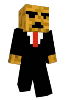 aidanishere Minecraft avatar full body