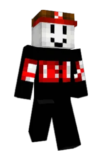 aidenwillis Minecraft avatar full body