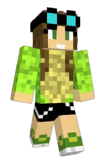 aim200 Minecraft avatar full body