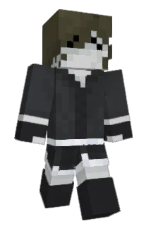 ainselmew Minecraft avatar full body