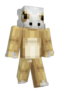 aircraft007 Minecraft avatar full body